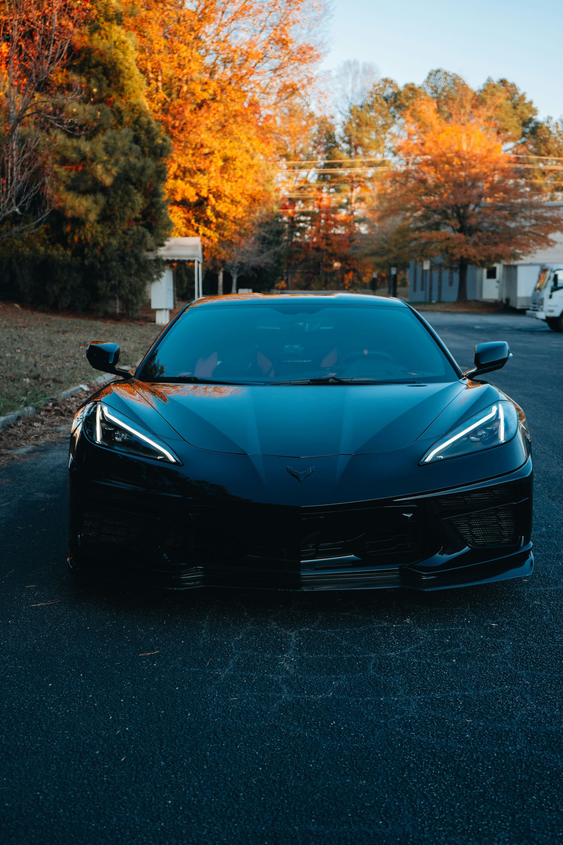 Black Corvette